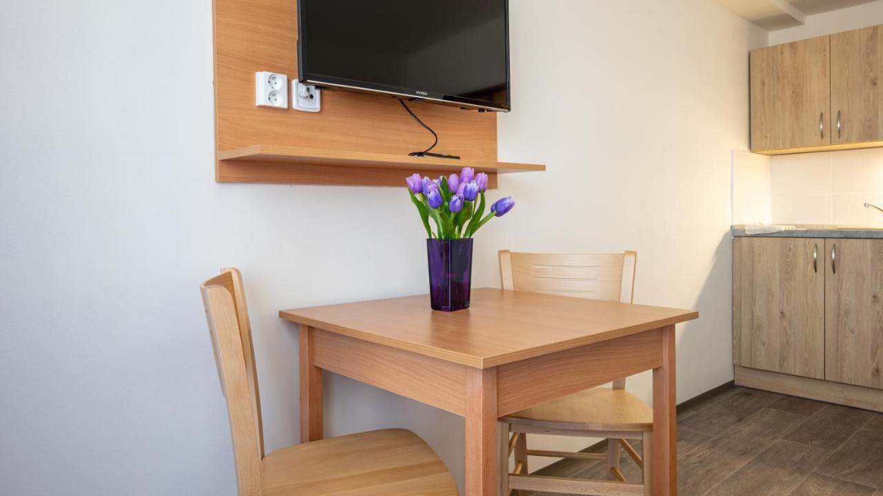 Apartmany A Studia Zamecky Park Litvínov Buitenkant foto