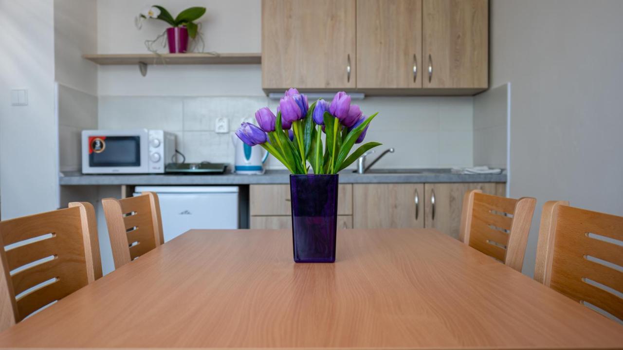 Apartmany A Studia Zamecky Park Litvínov Buitenkant foto