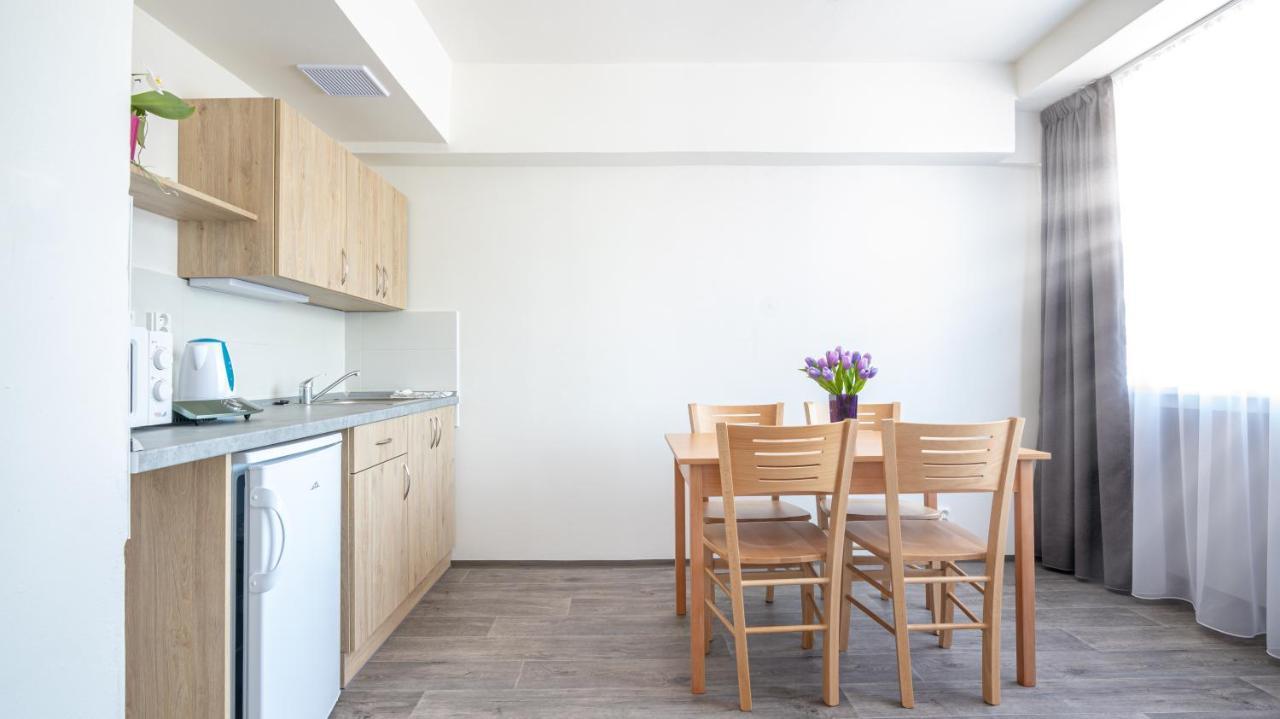 Apartmany A Studia Zamecky Park Litvínov Buitenkant foto